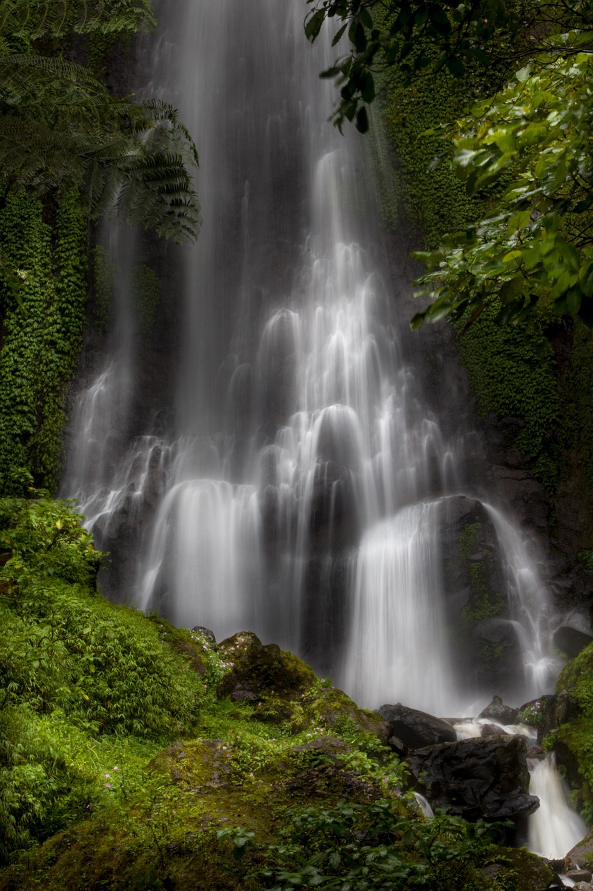 waterfall, water, nature, tree, moss, scenery, natural